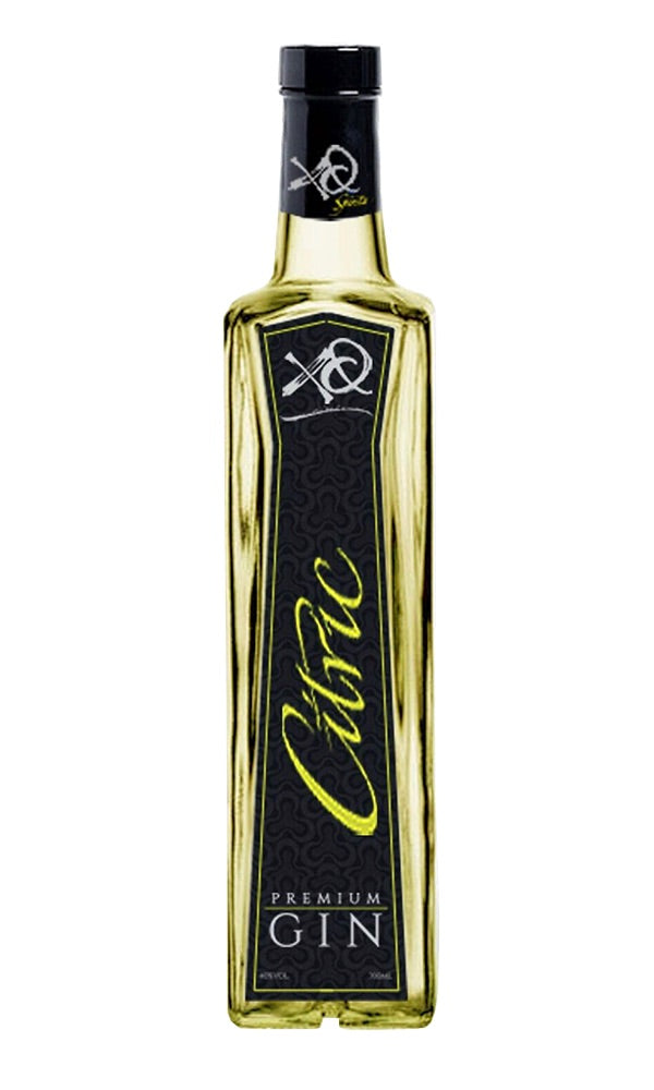 GINEBRA XQ CITRIC PREMIUM 70 CL