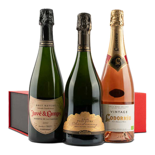Estuche Nº 97 – Navidad 2026